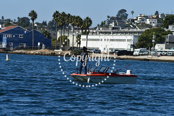 DSC_1914 (1)