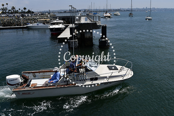 DSC_0290