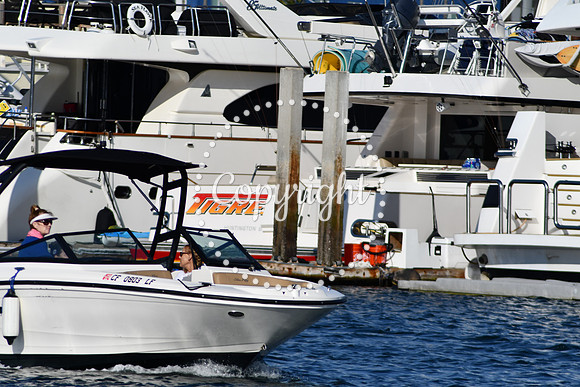 DSC_2325 (1)