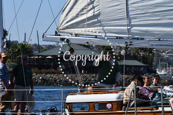 DSC_1993 (1)