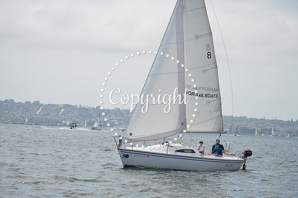 DSC_0206 - Copy
