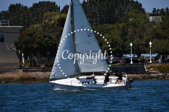 DSC_0243 (1)