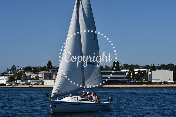 DSC_1918 (1)