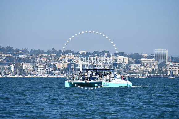 DSC_1302 (1)