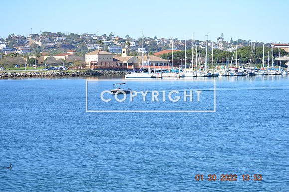 DSC_0029 (1)