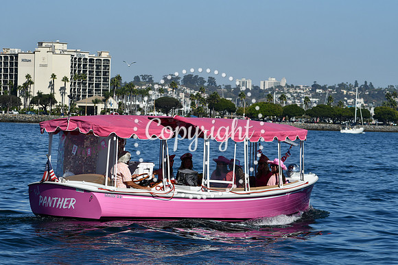 DSC_1971 (1)