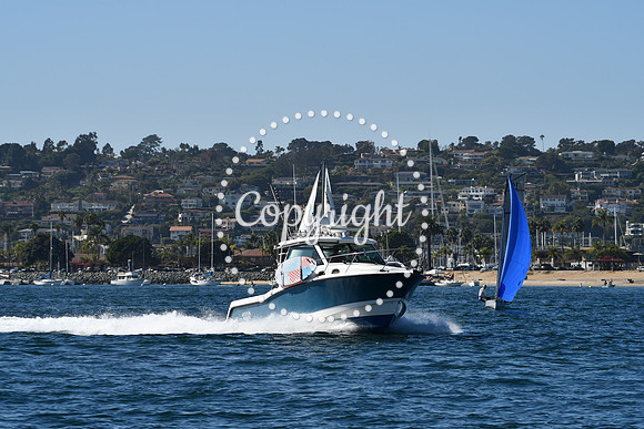 DSC_1876 (1)