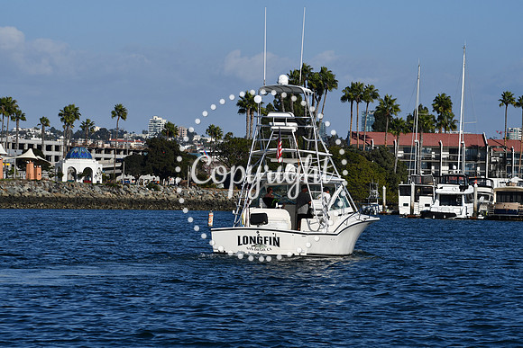 DSC_2358 (1)
