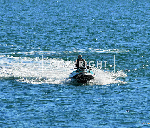 DSC_2969 (3)