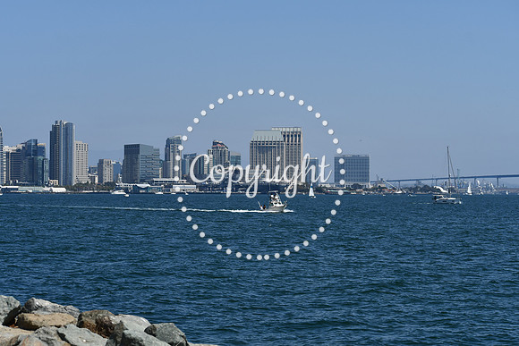 DSC_0495 (1)