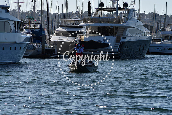 DSC_2125 (1)