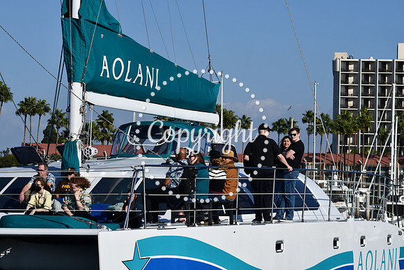 DSC_2372 (1)