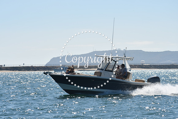 DSC_1296 (1)