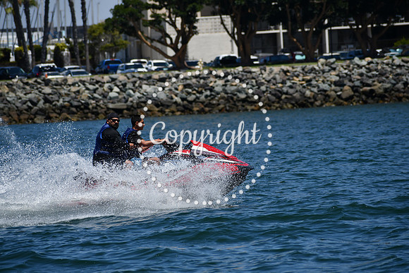 DSC_0228 (1)