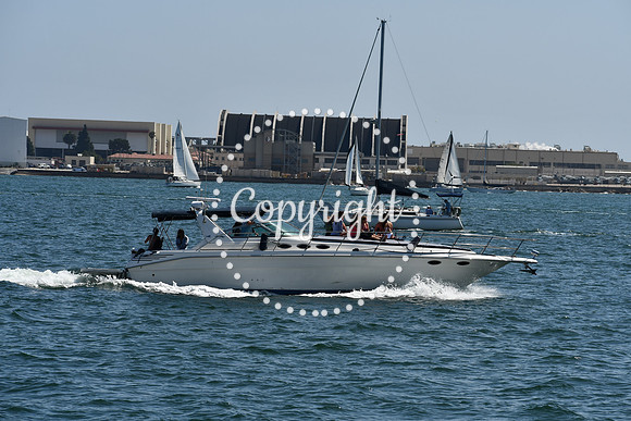 DSC_0531 (1)