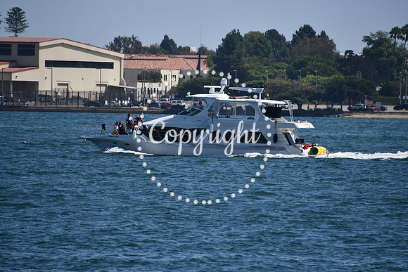 DSC_0541 (1)