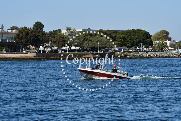 DSC_1930 (1)