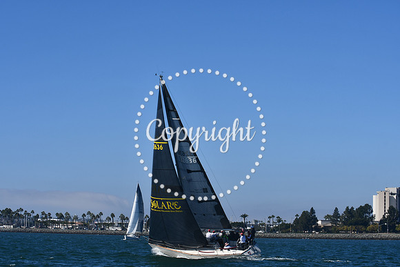 DSC_1399 (1)