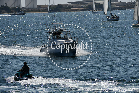 DSC_1162