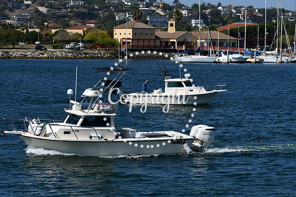 DSC_1165