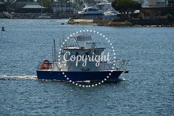 DSC_1186