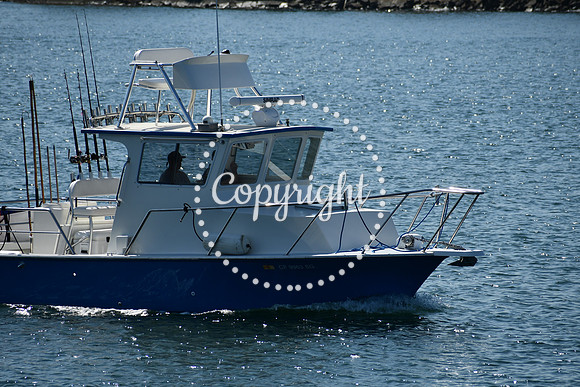 DSC_1188