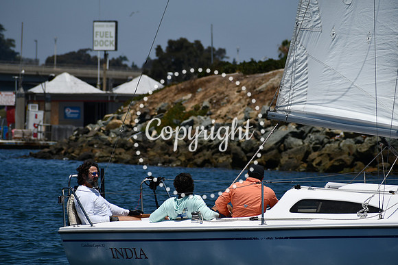 DSC_0267 (1)