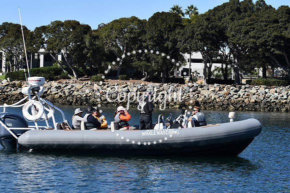 DSC_2040 (1)