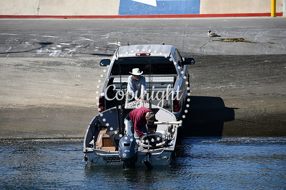 DSC_1252