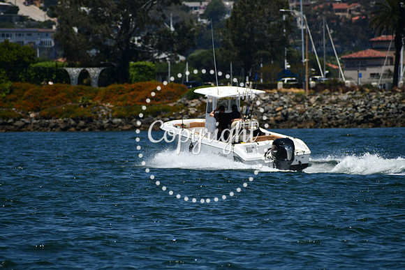 DSC_0232 (1)