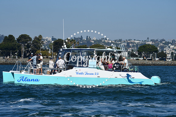 DSC_1313 (1)