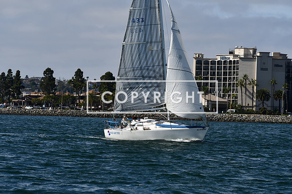 DSC_1383