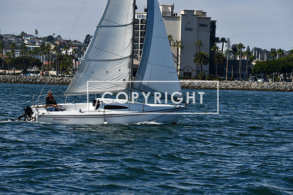 DSC_1401