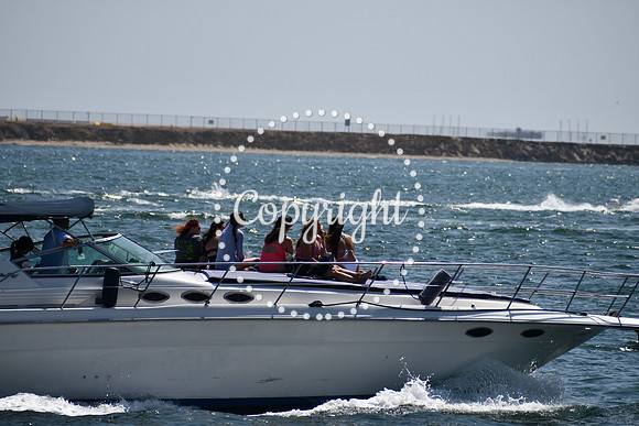 DSC_0536 (1)