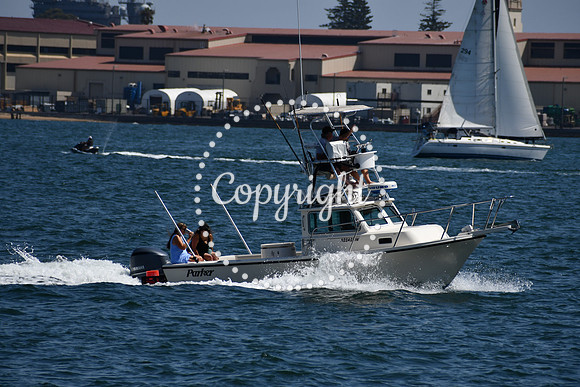 DSC_0500 (1)