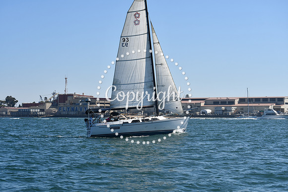 DSC_1343 (1)