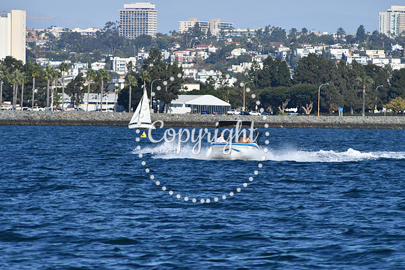 DSC_2298 (1)