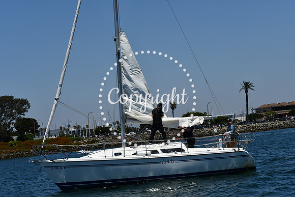 DSC_0252 (1)