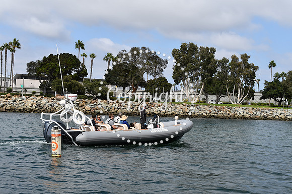 DSC_1234 (1)