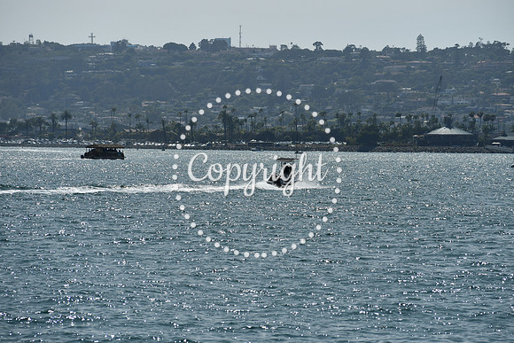 DSC_0576 (1)