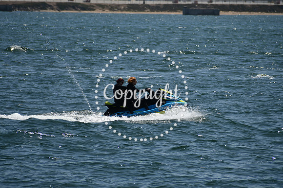 DSC_0485 (1)