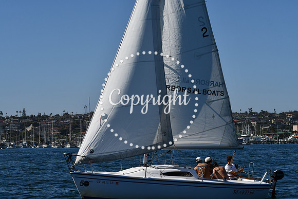 DSC_1921 (1)