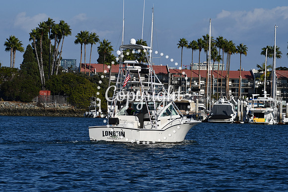 DSC_2361 (1)