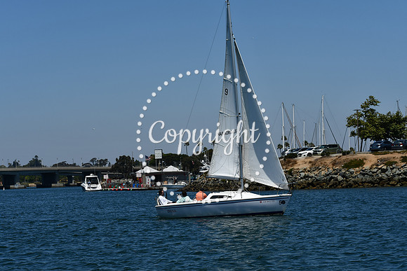 DSC_0264 (1)