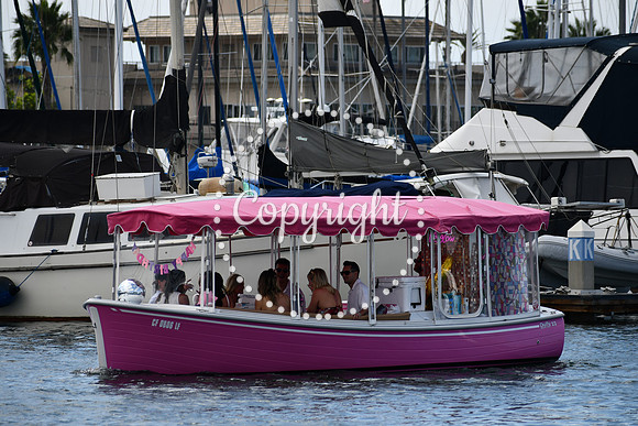 DSC_0765 (1)
