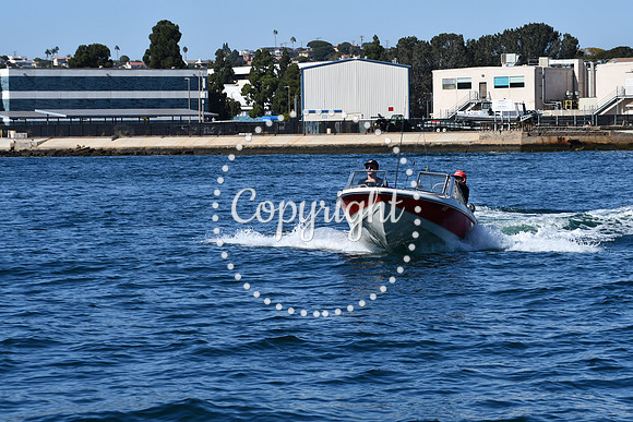 DSC_1933 (1)
