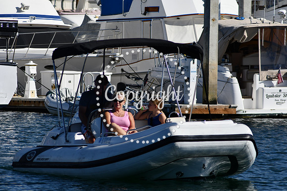 DSC_2045 (1)