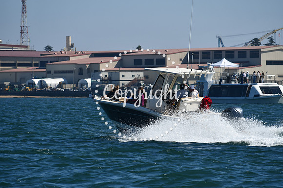 DSC_1300 (1)