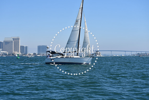 DSC_1340 (1)