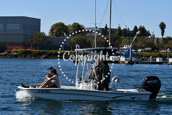 DSC_2024 (1)